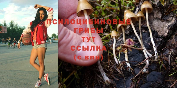 индика Остров