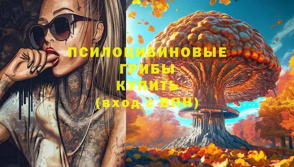 прущие крисы Осташков