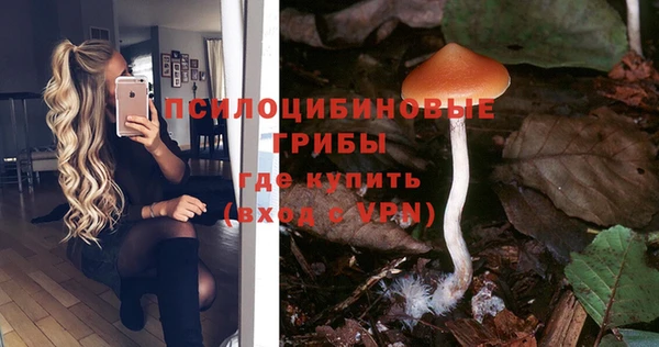 индика Остров