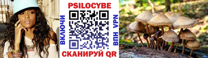 Галлюциногенные грибы прущие грибы Ржев