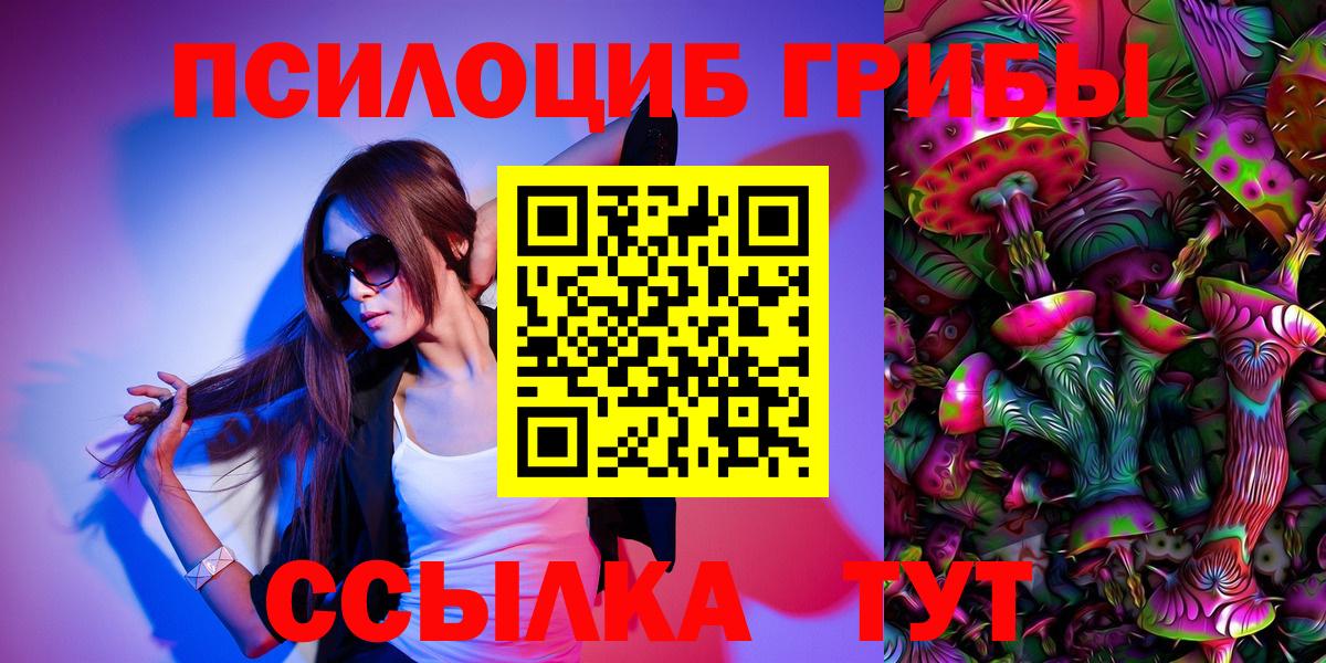 Галлюциногенные грибы Psilocybe  Вход с VPN  Ржев 