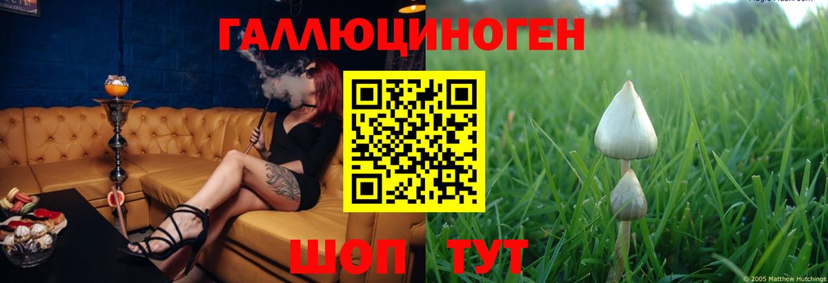 Галлюциногенные грибы Magic Shrooms  Ржев  купить закладку  Галлюциногенные грибы ЛСД 